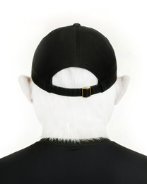 Stay Hard Cap