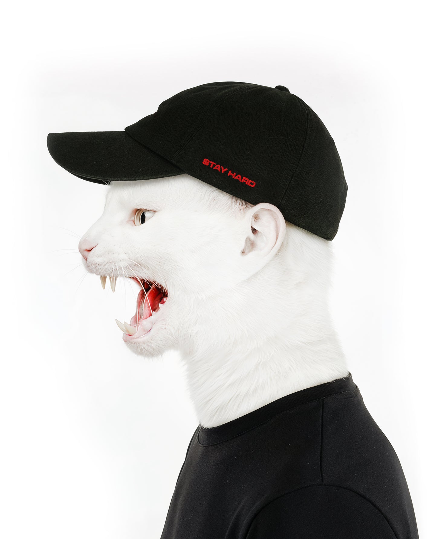 Stay Hard Cap